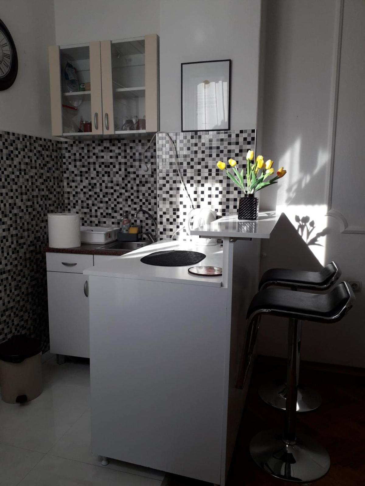 Apartment Dunja Ns Novi Sad Dış mekan fotoğraf